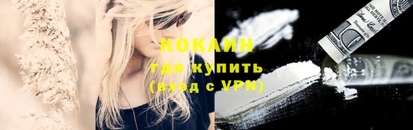 дживик Пересвет