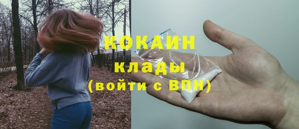прущая мука Верея