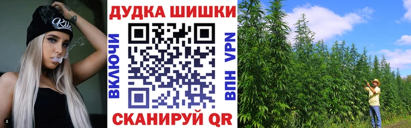 Бошки Шишки конопля  Купить где  Инза 